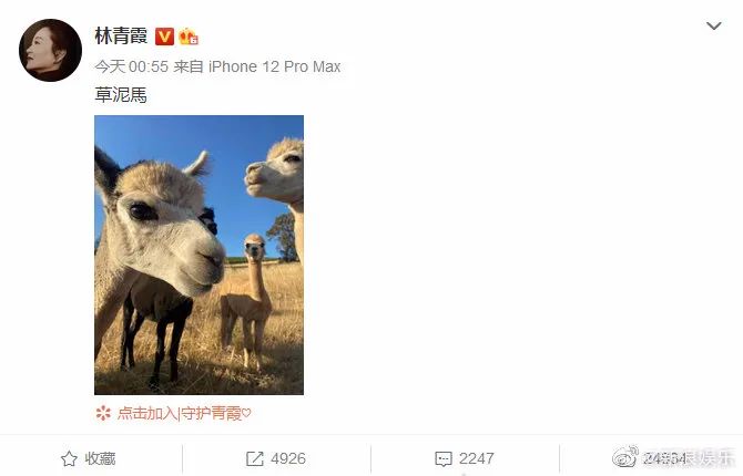 林青霞大陆朋友圈,林青霞朋友圈高清图片