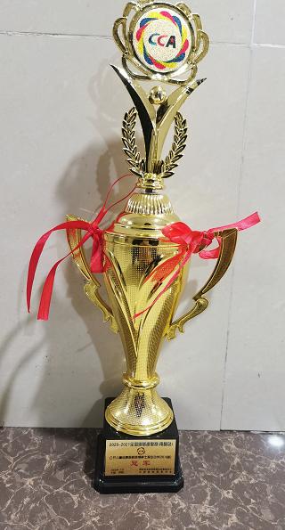 柴桑小学2012届,柴桑小学生足球联赛