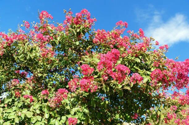 杜邑遗址风景区,杜邑花海风景区