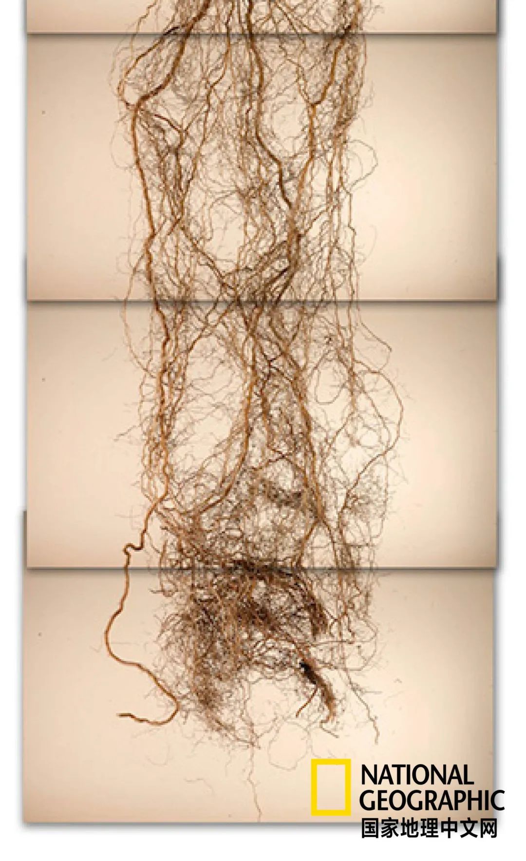 土这种物质，可太冤了