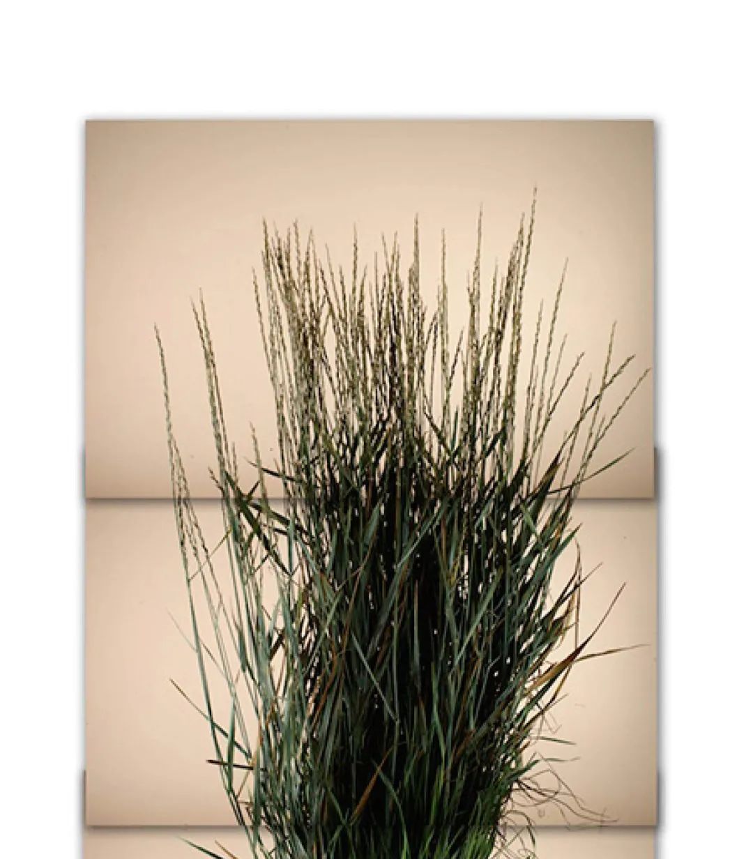 土这种物质，可太冤了