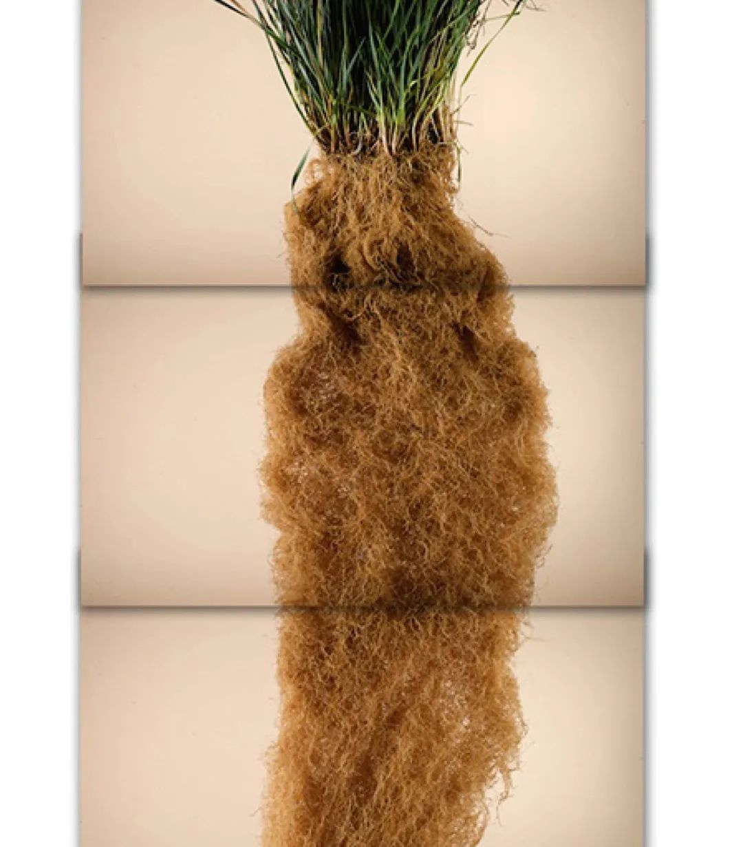 土这种物质，可太冤了