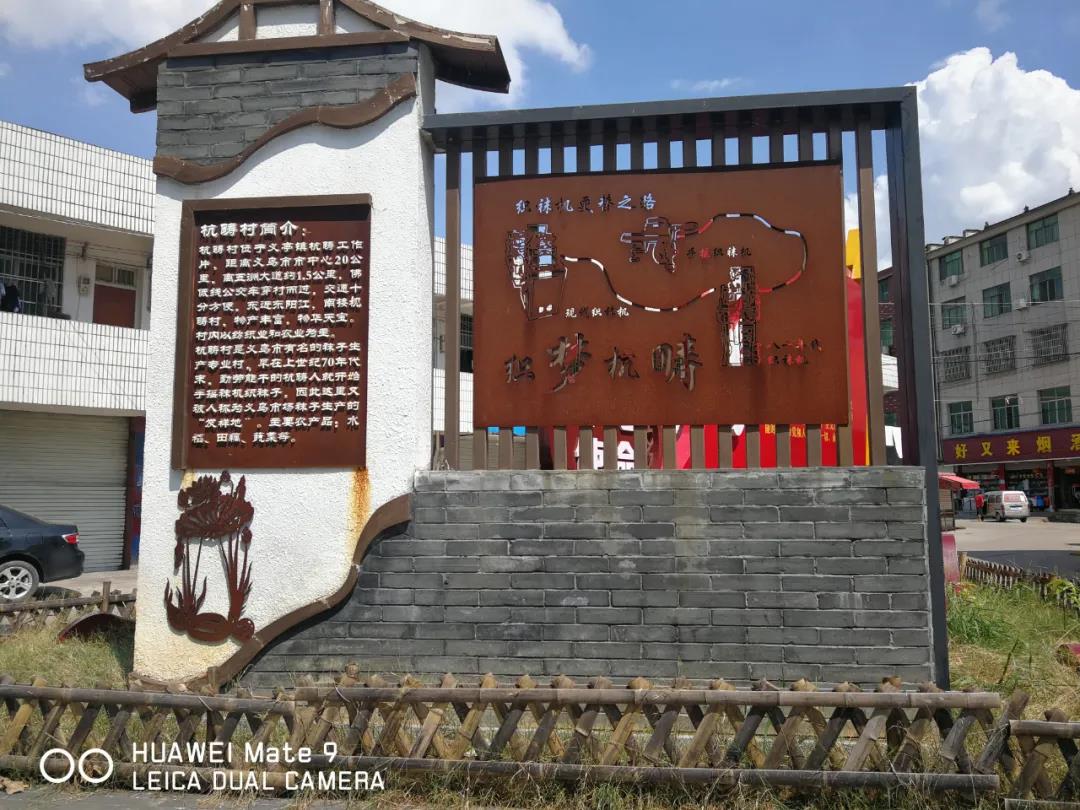 这个县，为何有那么多袜业大佬“盘踞”于此