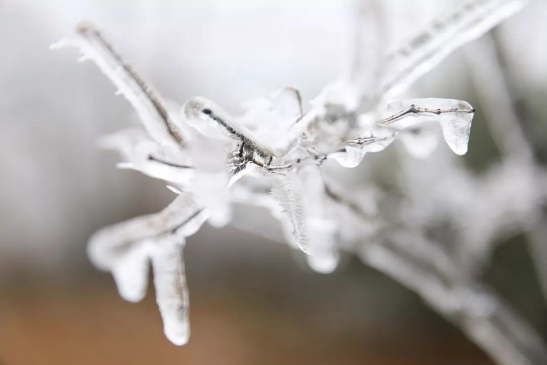 南昌冬天最好玩的地方是哪里,南昌冬天好玩的地方推荐