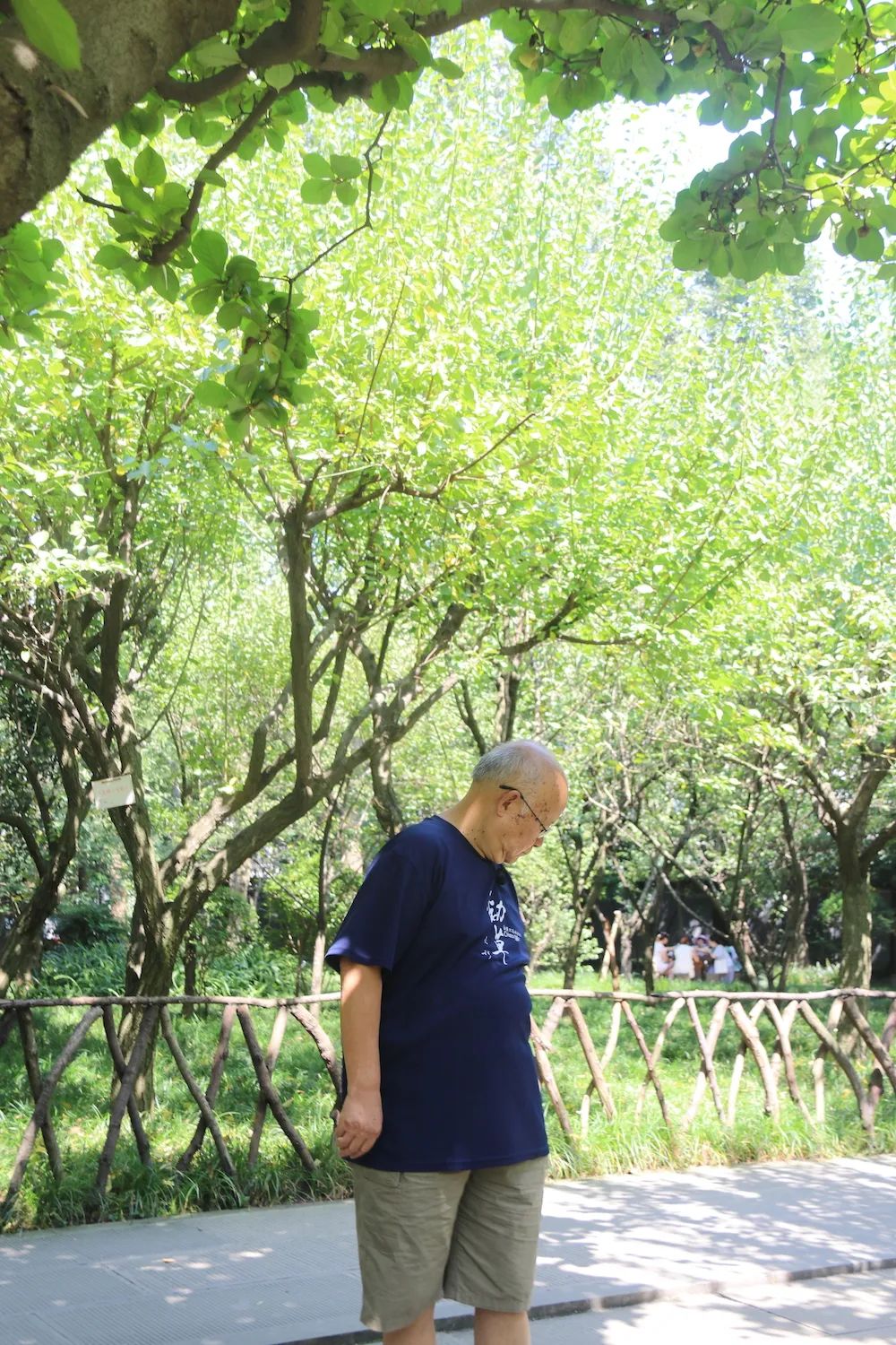 袁庭栋讲麻将全集,袁庭栋讲刘湘之死