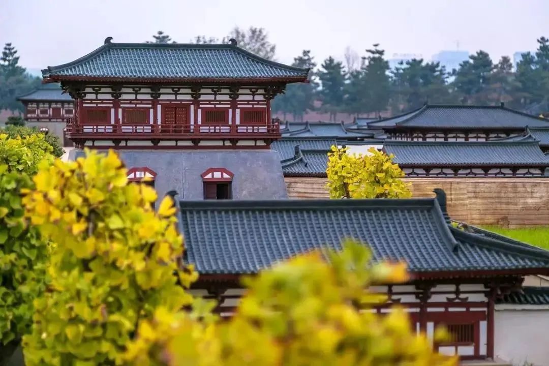 曲江也有星座？没错，是你2G了！