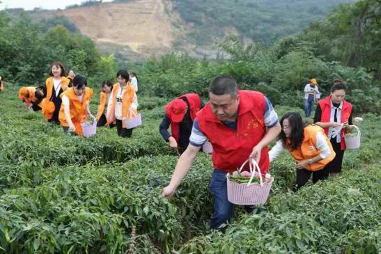 汉中市市直机关党建工作会议,三融三促为城市基层党建添活力