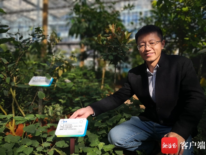 海口热带农业科技博览园什么玩的,海口热带农业科技博览园攻略