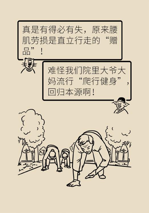 久坐腰肌劳损缓解腰痛的最佳方法,久坐导致的腰肌劳损治疗最佳方法