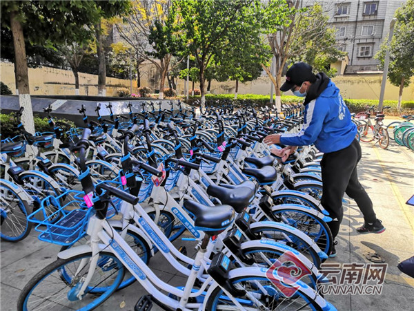 哈啰出行的利与弊,哈啰出行规范