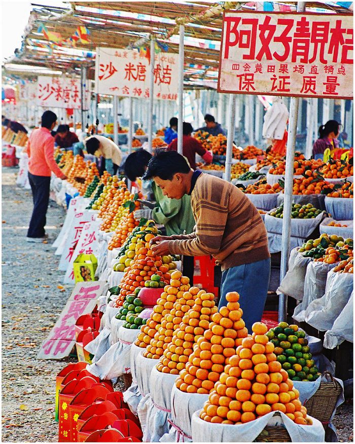 沙糖桔成熟果软,肇庆四会沙糖桔