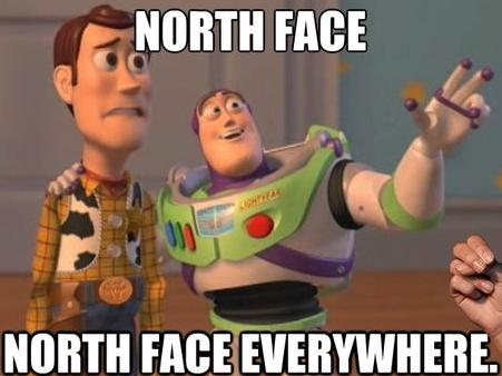 为什么满大街都是穿北面羽绒服的,北面羽绒服700和900的区别