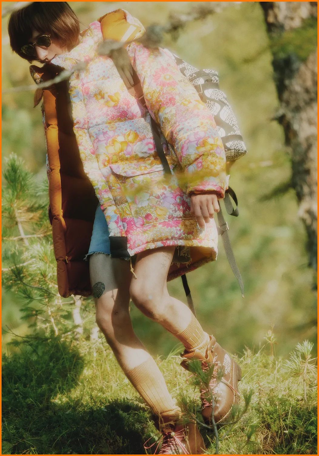 为什么满大街都是穿北面羽绒服的,北面羽绒服700和900的区别