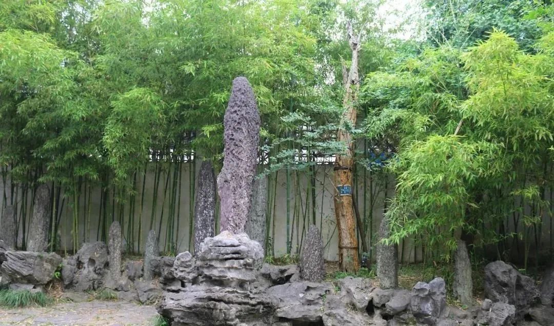 小赤壁、小武当……藏在苏州园林里的“名山大川”