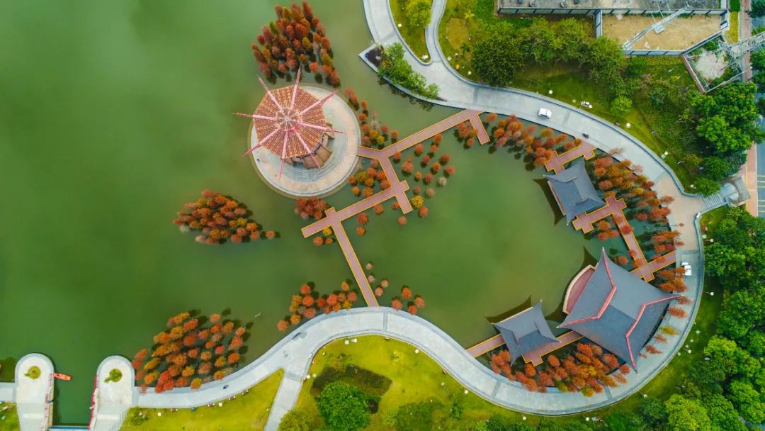 1月最美的佛山藏在这里！全部免费赏！