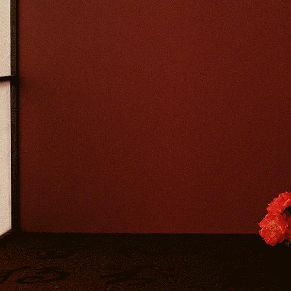 流金岁月中的包,流金岁月里的包包