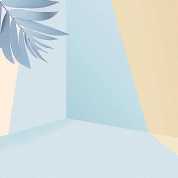 流金岁月中的包,流金岁月里的包包