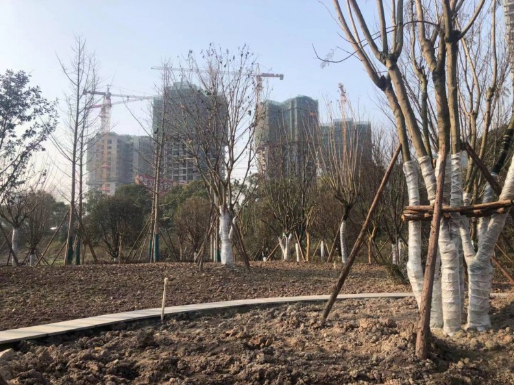 达州高家坝足球公园,高家坝足球公园足球场对外开放吗