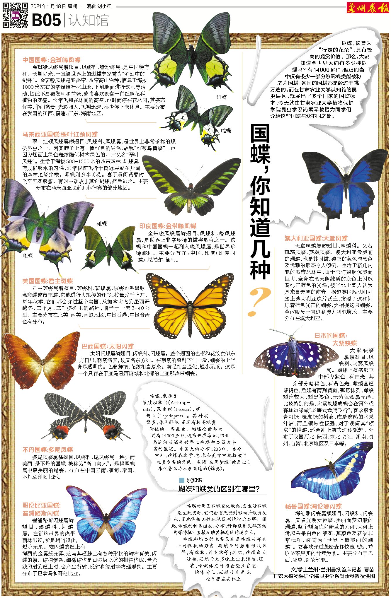少年派丨@中小学生，这份寒假书单，请查收