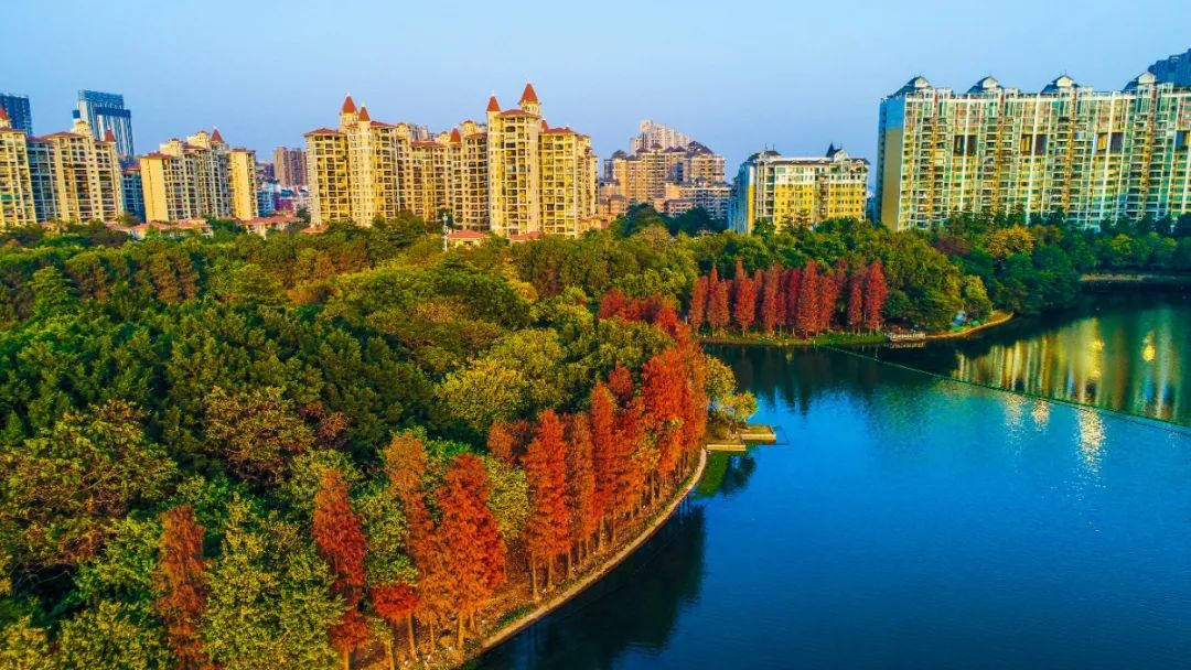 1月最美的佛山藏在这里！全部免费赏！