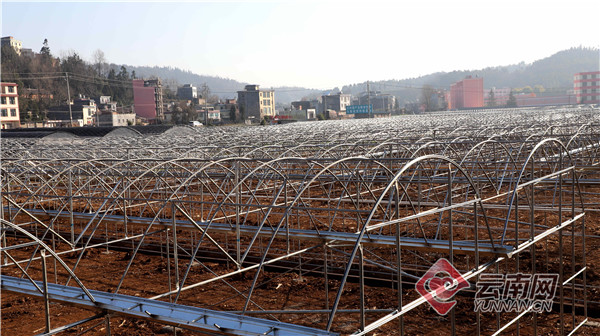 曲靖富源马术,曲靖沐春风