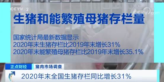 养猪场一头猪赚多少钱,养殖户焦急卖猪一头能赚600元