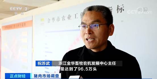 养猪场一头猪赚多少钱,养殖户焦急卖猪一头能赚600元