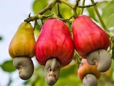 潮享玩昆明,昆明潮玩集合