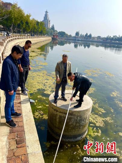陈嘉庚集美学村纪录片完整版,陈嘉庚厦门集美鳌园