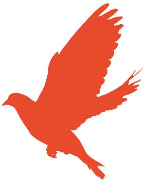 关爱志愿者服务队,公益志愿服务我们在行动