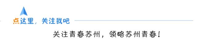 苏州团市委策划参加《*共中**中央关于全面加强新时代少先队工作的意见》专题学习会