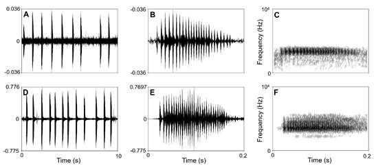 丽水发现百山祖角蟾数量,百山祖角蟾发现的过程