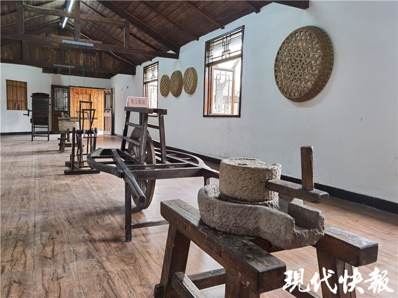 “凤凰”再“起飞”，扬州这处“生态绿肺”改造完成