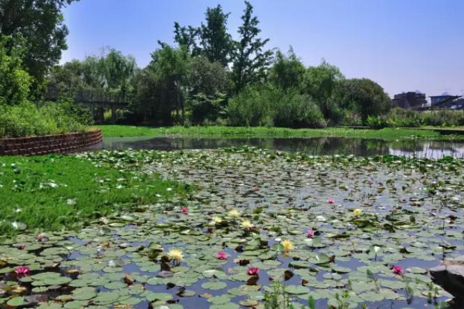 你不知道的南昌周边美景,南昌风景超好的地方