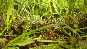 最简单的食材也能勾起最大的食欲,简单的食材也能让人瞬间很有食欲