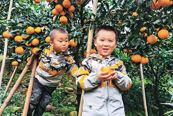 冰城“分享姐”无缝跨界做微商