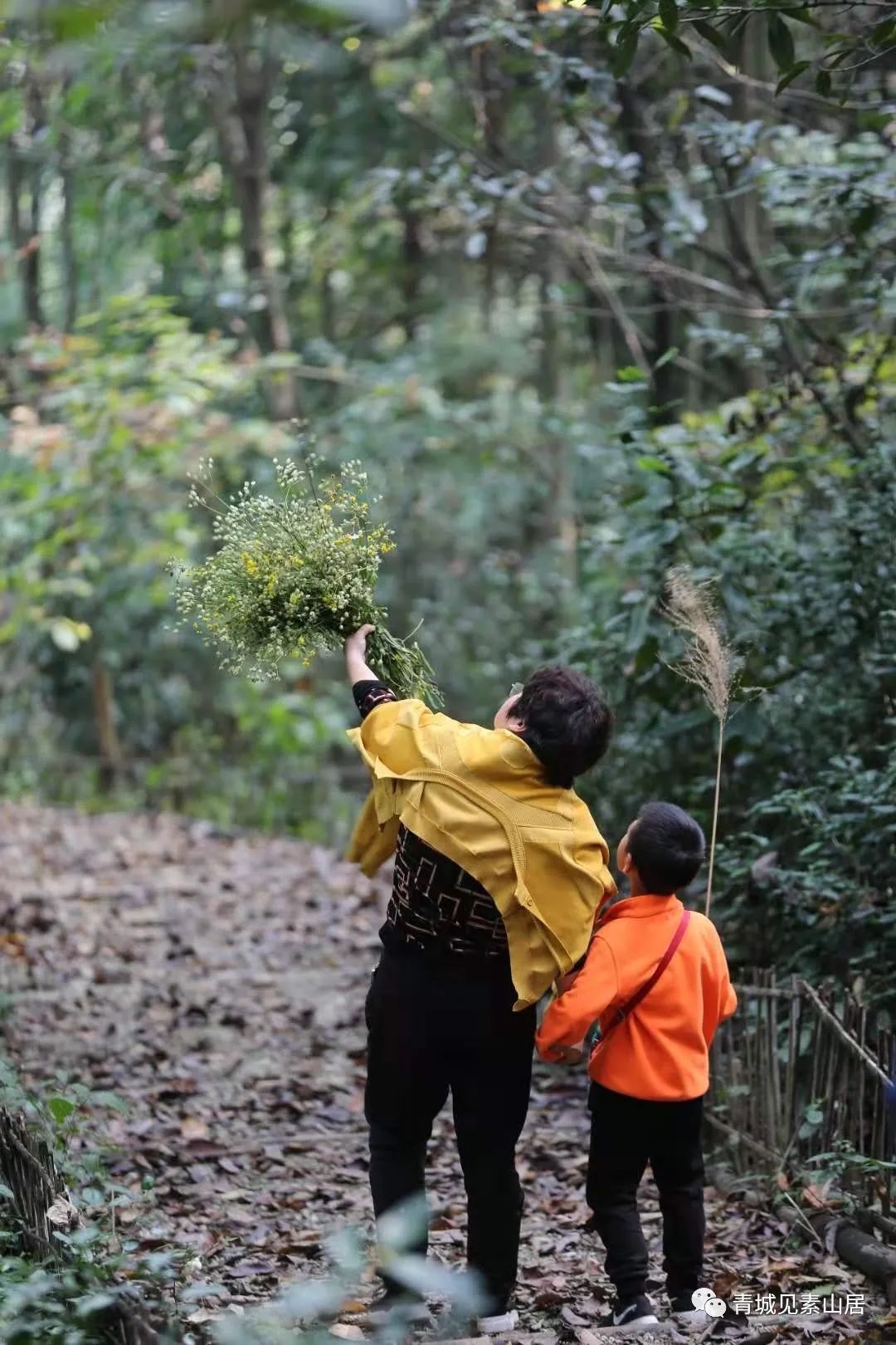 青城山开了家很网红的民宿,民宿探店成都