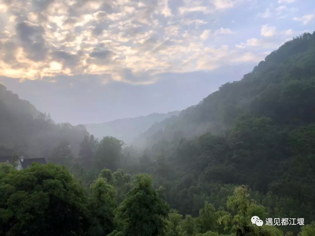 青城山开了家很网红的民宿,民宿探店成都