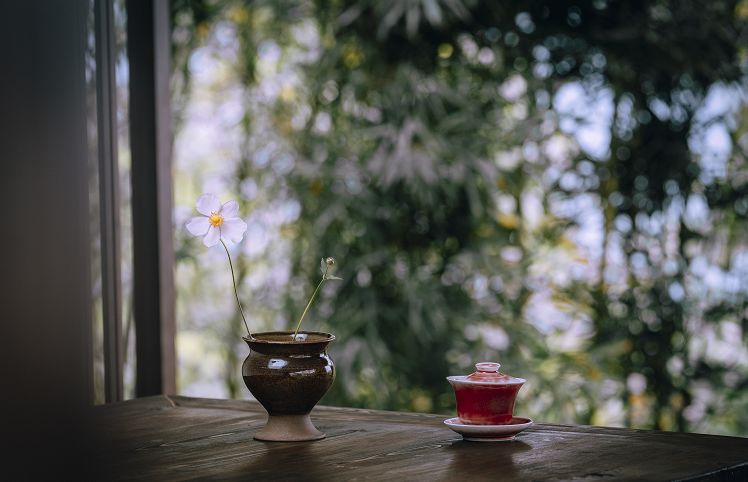 青城山开了家很网红的民宿,民宿探店成都