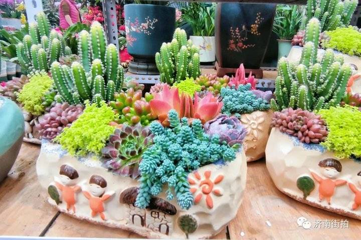 济南花卉市场哪个最大最出名,开放的济南花卉市场有哪些
