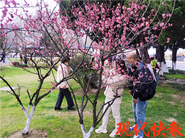 南京各景区旅游舒适度,春节南京游玩好去处