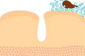 4周瘦20斤食谱,4周瘦30斤高效减脂餐