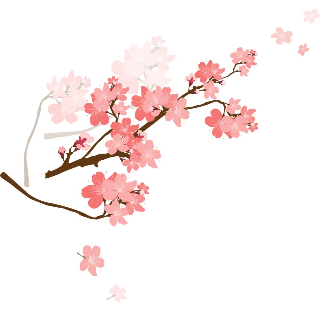 2021年大庆人的第一场梦幻烟花秀来啦