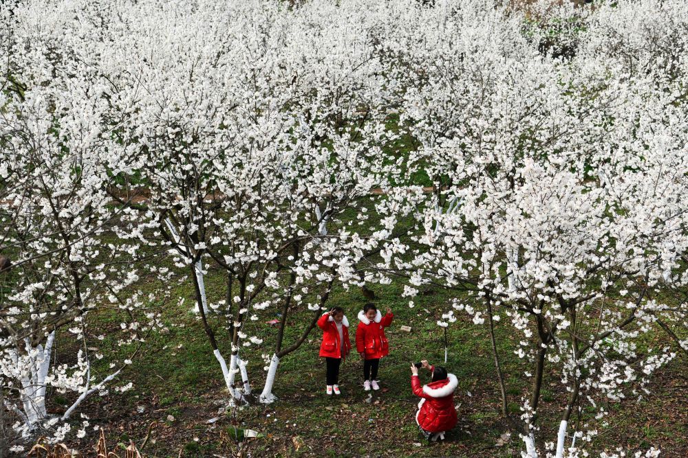 中国脱贫致富纪录片,中国脱贫纪实视频