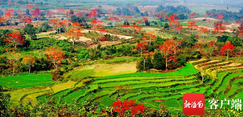 昌江黎族少数民族村寨风景,昌江黎族自治县少数民族旅游攻略