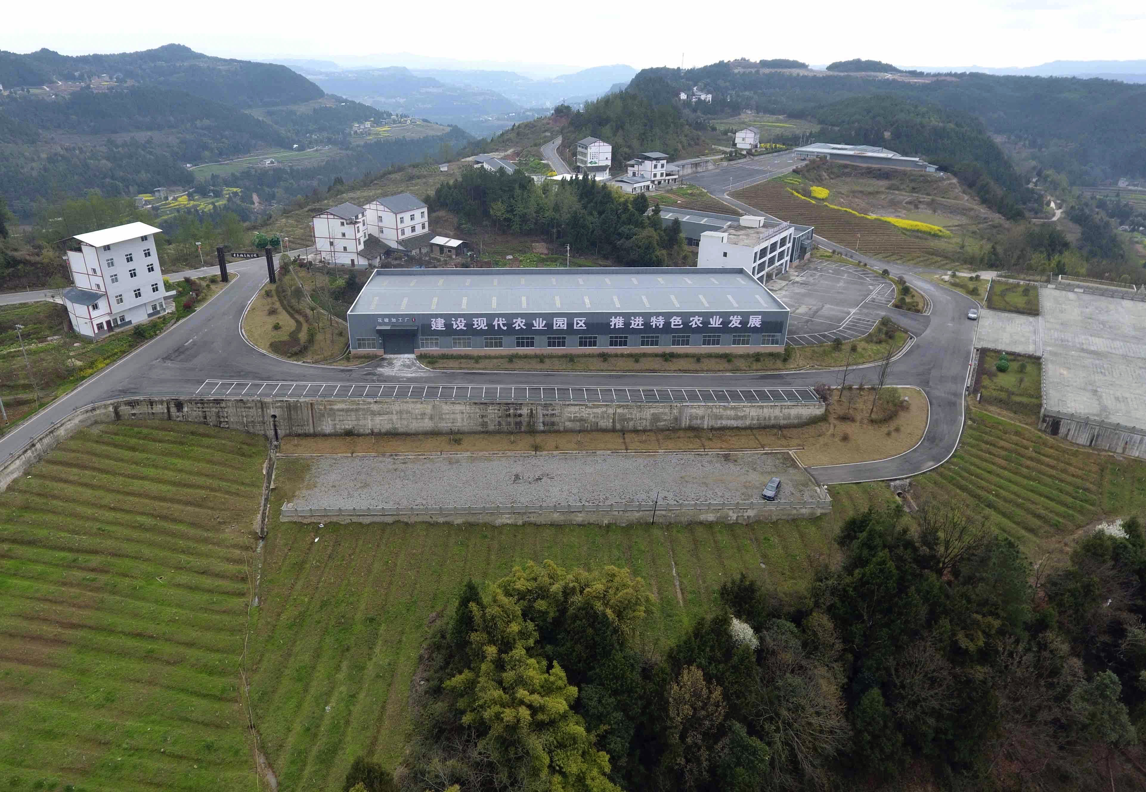 支持发展青花椒产业,平昌青花椒交易成全国新中心