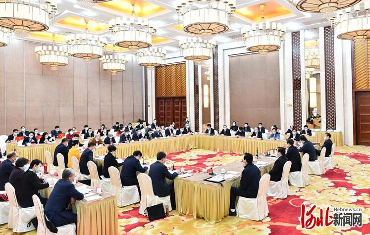 河北代表团审议全国人大报告,河北代表团审议二十大工作报告