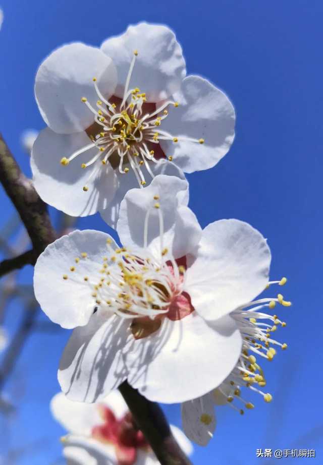 青未了电视剧的回忆,青未了童年掠影