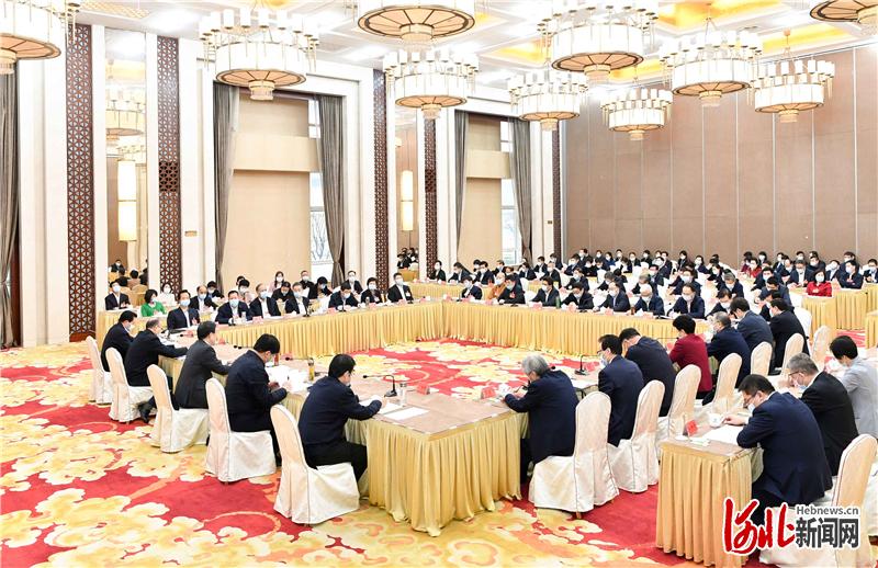 河北代表团举行全体会议,河北省代表团