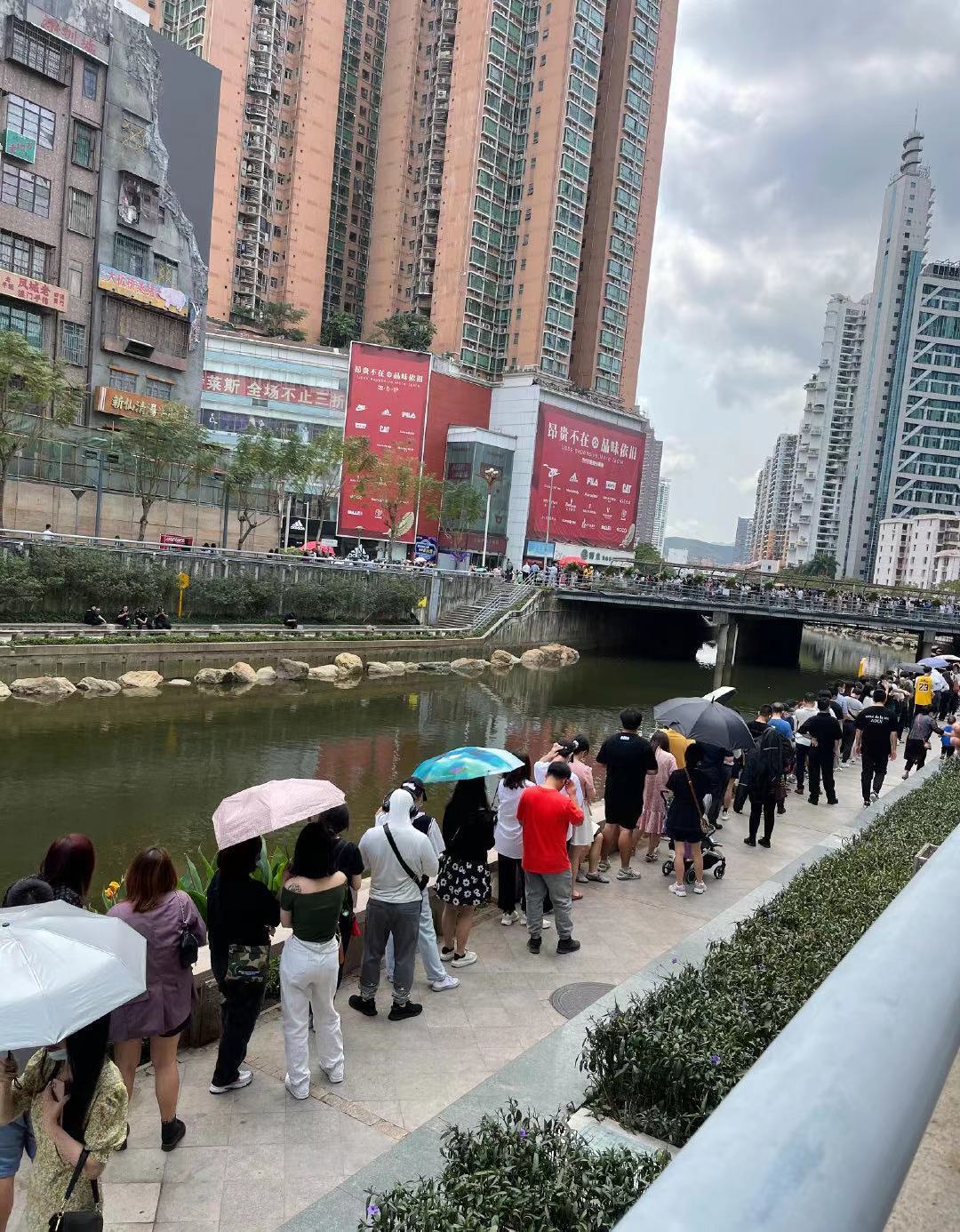 茶颜悦色奶茶排队8小时 (深圳第一家茶颜悦色奶茶店)